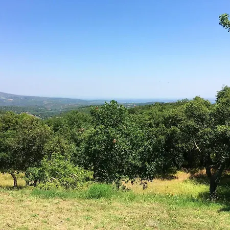 Maison D'une Avec Piscine Privee Jardin Et Wifi A Hébergement de vacances